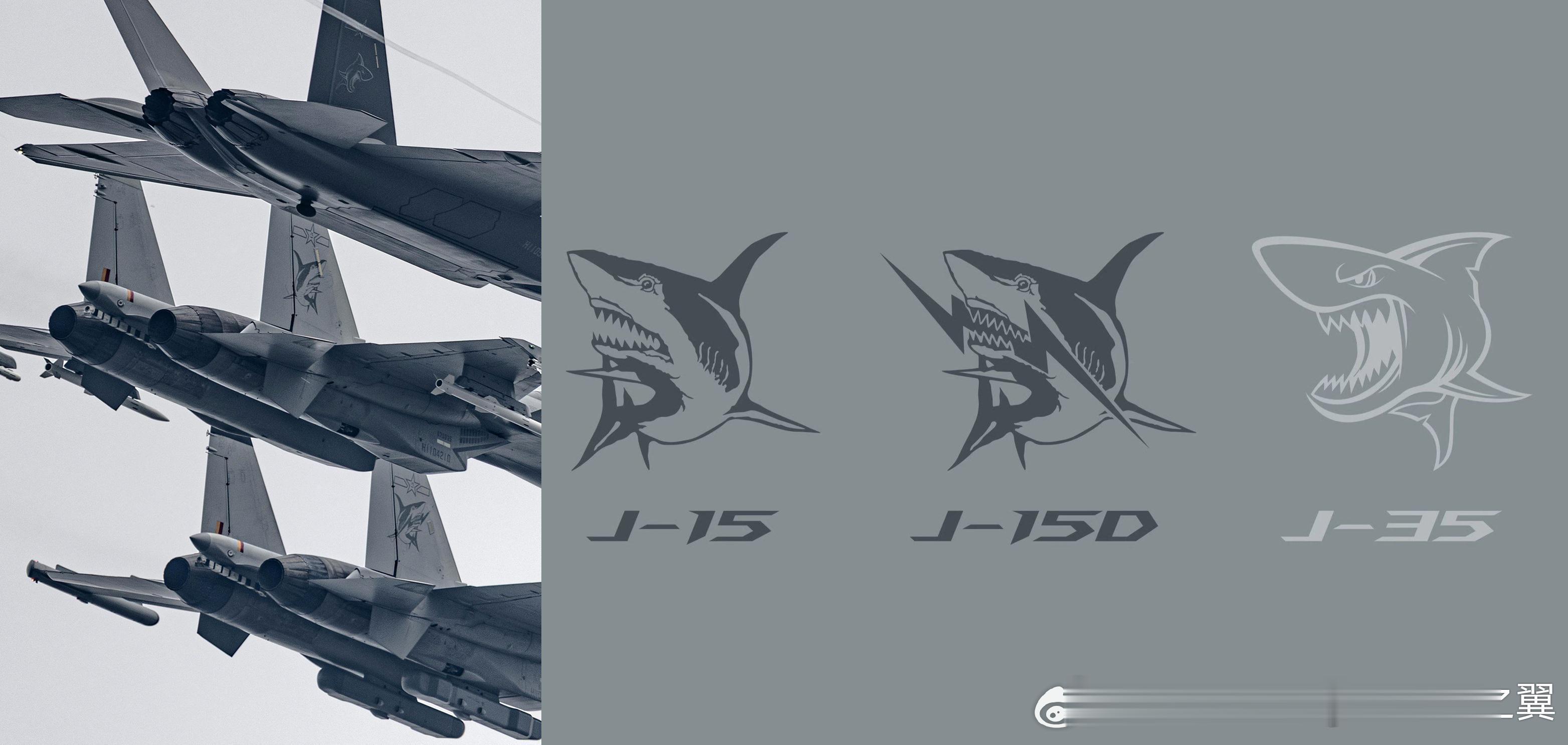 飞鲨、电鲨，与白鲨。 