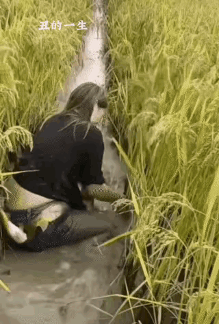 没有60岁以上的年纪，绝对没有这种经历！