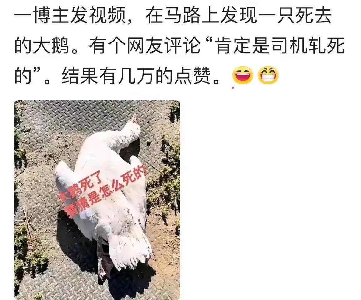 学好汉语，你才能领悟其他任何语言都没有的“一语双关”！
