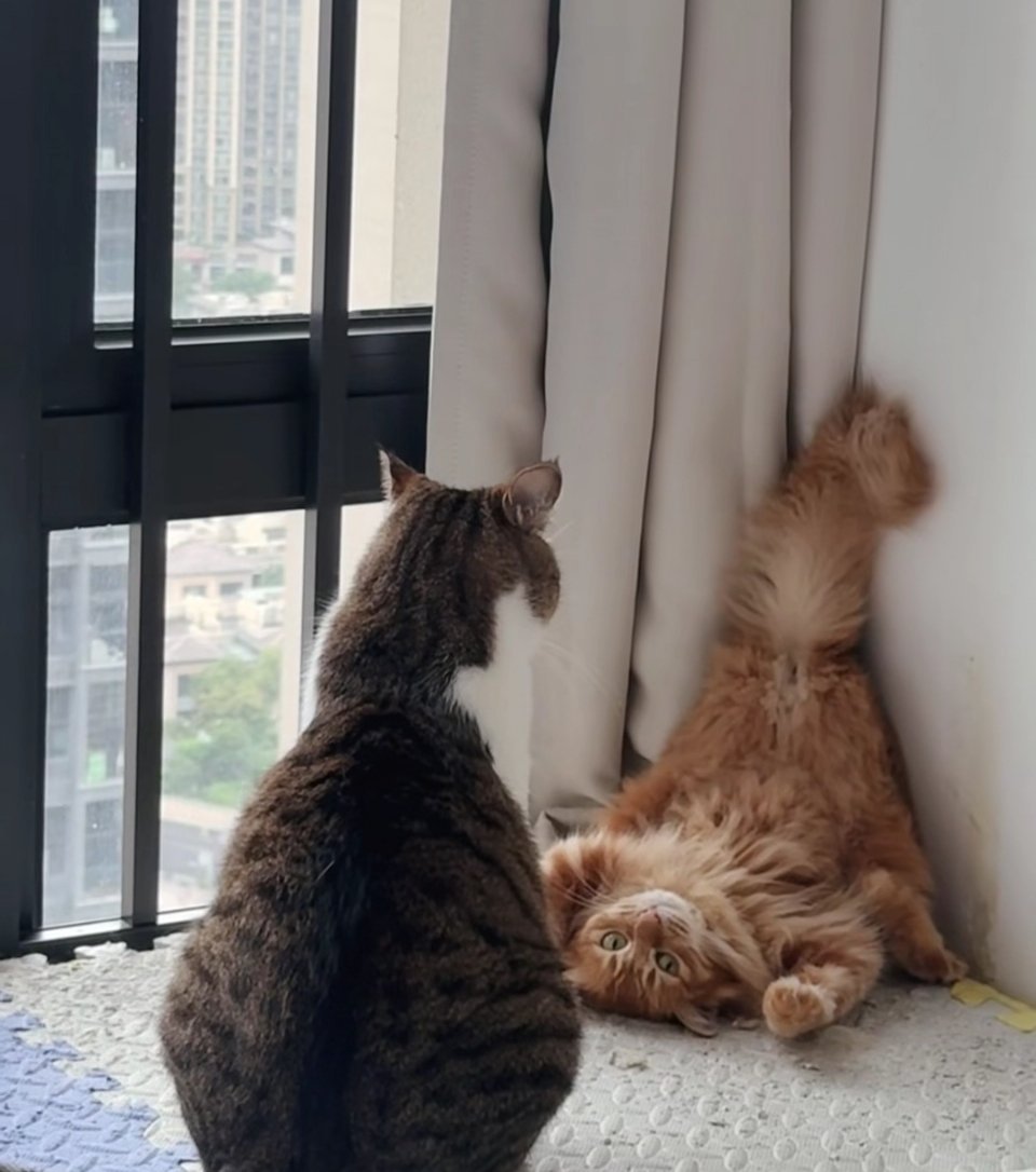 看不懂谁输谁赢？ 