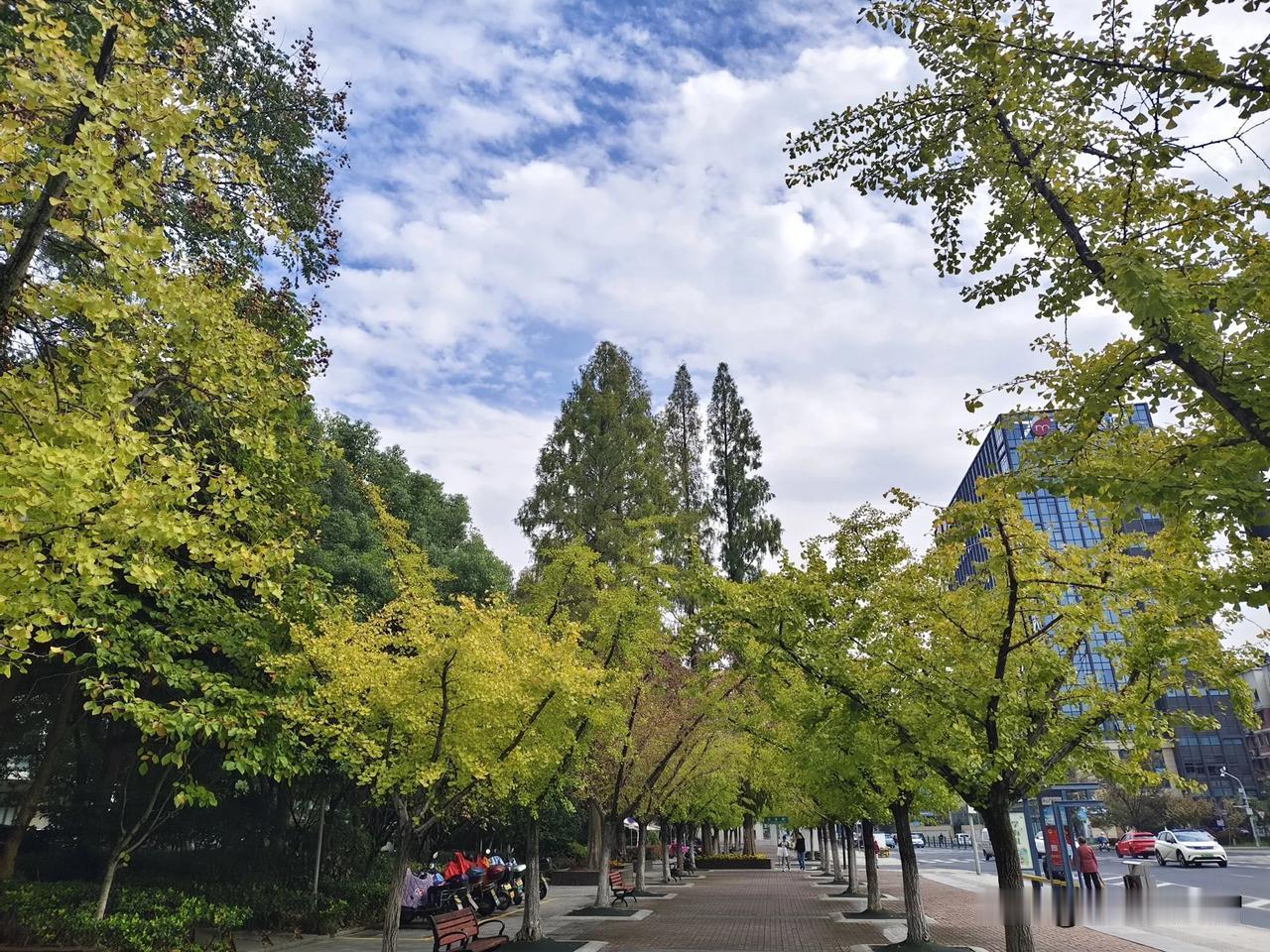 [赞]“快”与“慢”的哲学！[祈祷]
如今社会生活节奏崇尚快，比方说快餐，快递，