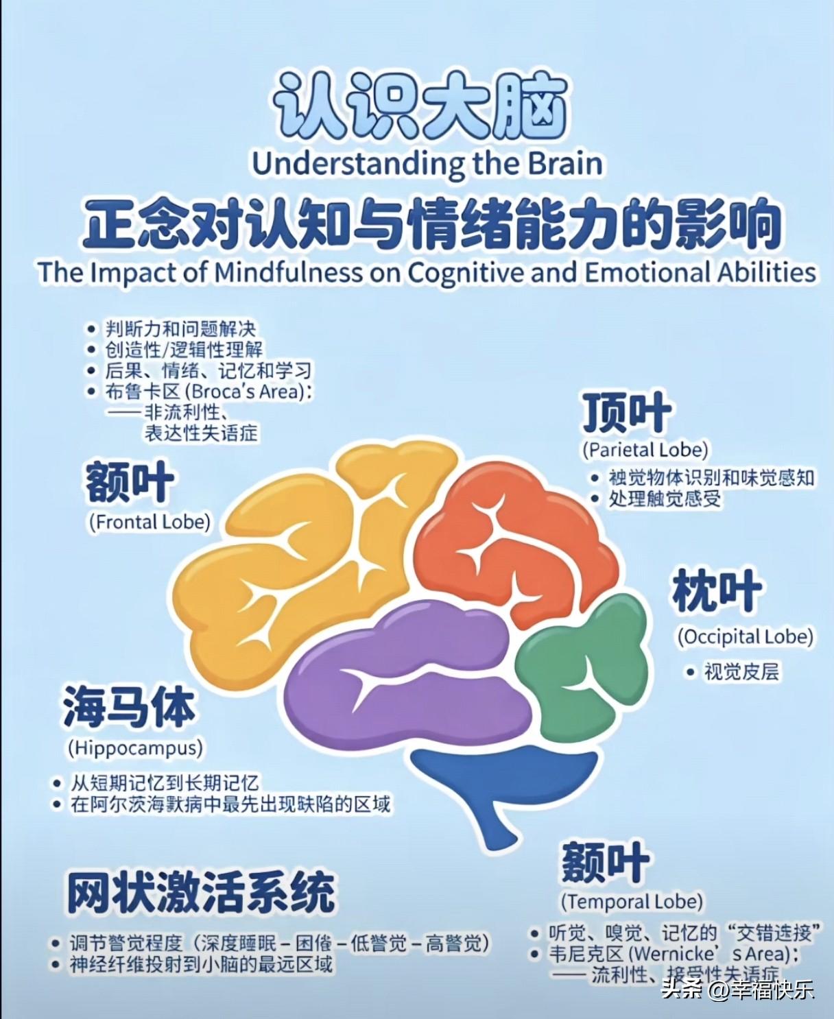20260813
今天上午行情指数上涨，但唯有可转债指数下跌

上证指数涨0.4