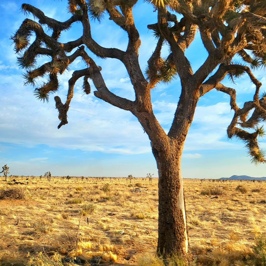 爱看剧英语启蒙