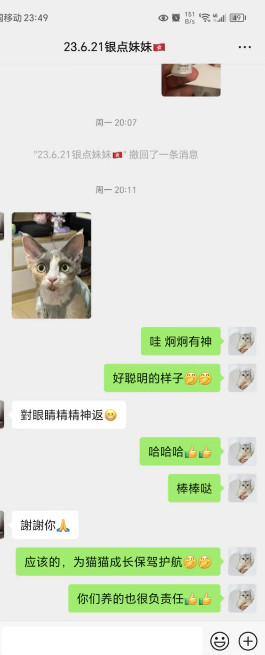 🇭🇰HK貓貓家長返圖💛眼睛好靚～