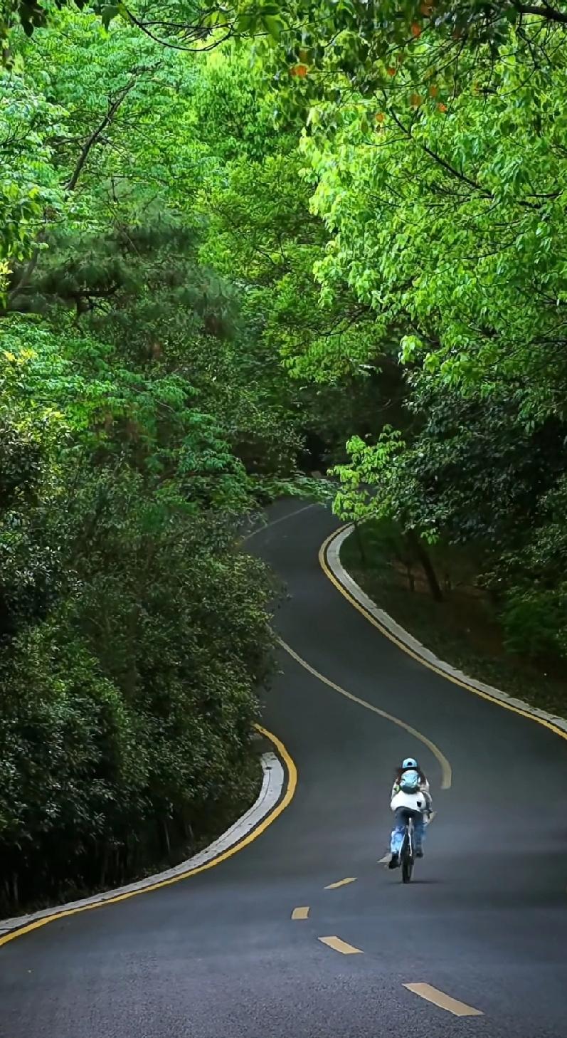 最近看到官网都是在发布一些视频，主要是让人们放慢脚步，放下焦虑，享受当下的节奏。