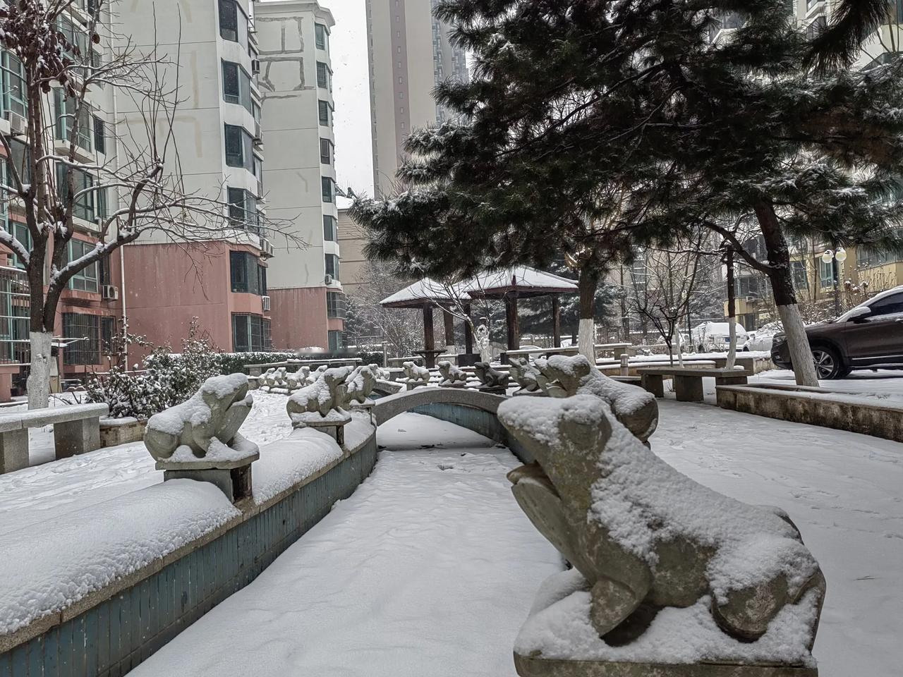 昨天预报有雪，但春节在即，我们归心似箭，还是于早八点从北京出发，开车回秦皇岛。