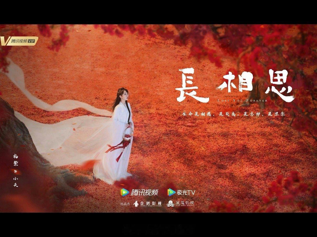 近三年流量花一番集均最高盘点：杨紫：长相思7600+  (2023🐧单平台)赵