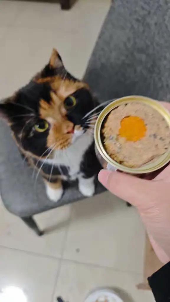 第二枚腿毛喂喂幸运胡萝卜币由我心爱的女明 星柴柴女士与十五先生开出！！！耶！！！