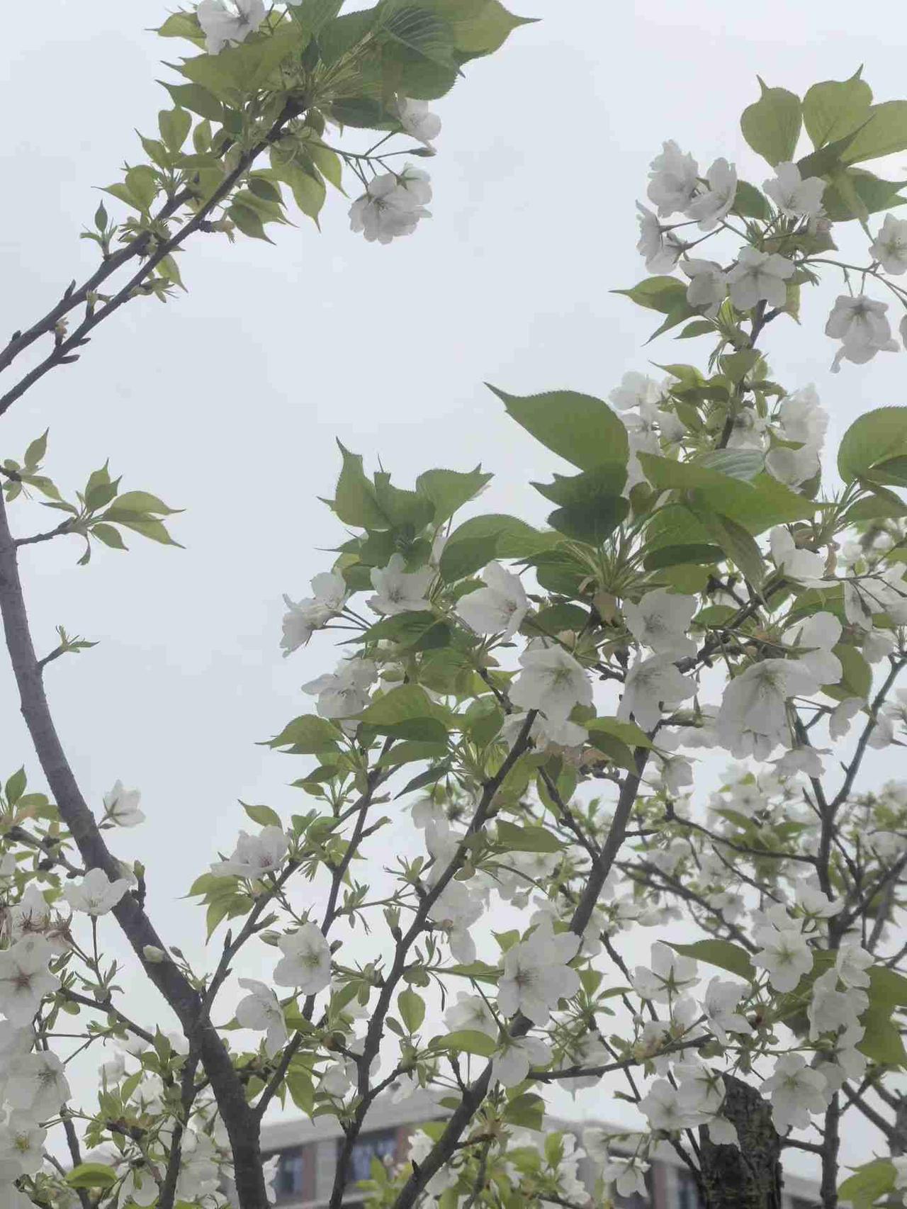 人真的不是老了才会死，而是随时都可能会死，所以，珍惜时间吧，或许我们真的活不到老