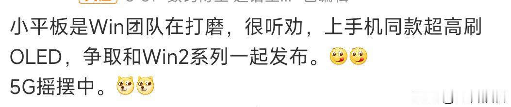 小平板市场现在也开始火起来了，根据爆料，荣耀小平板下半年发布，这玩意不管是家用还
