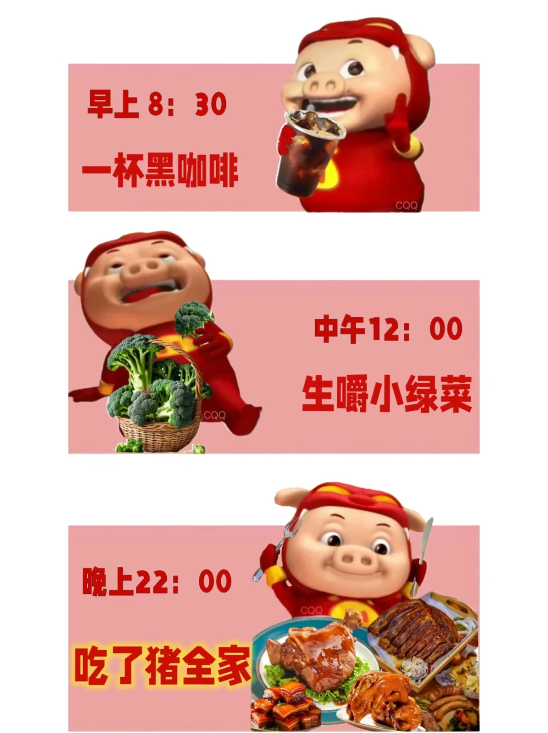 合格小猪的一天
