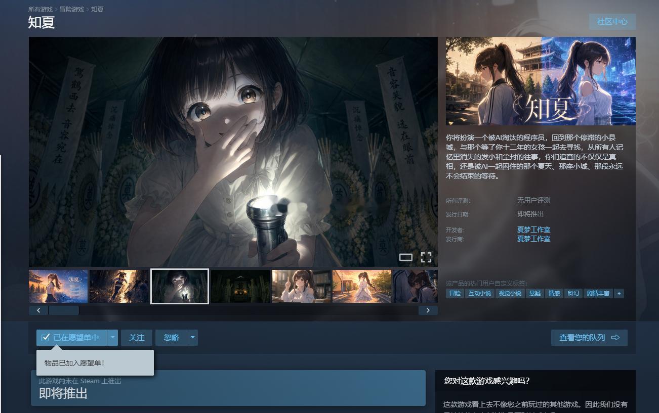 我参与测试运营的steam独立游戏《知夏》，商店页面已开通大家感兴趣帮忙加个愿望