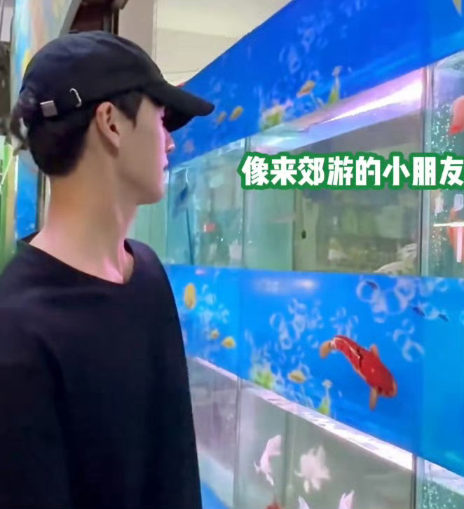 李昀锐被鱼迷住了，像个小朋友，小林碎碎念好可爱 