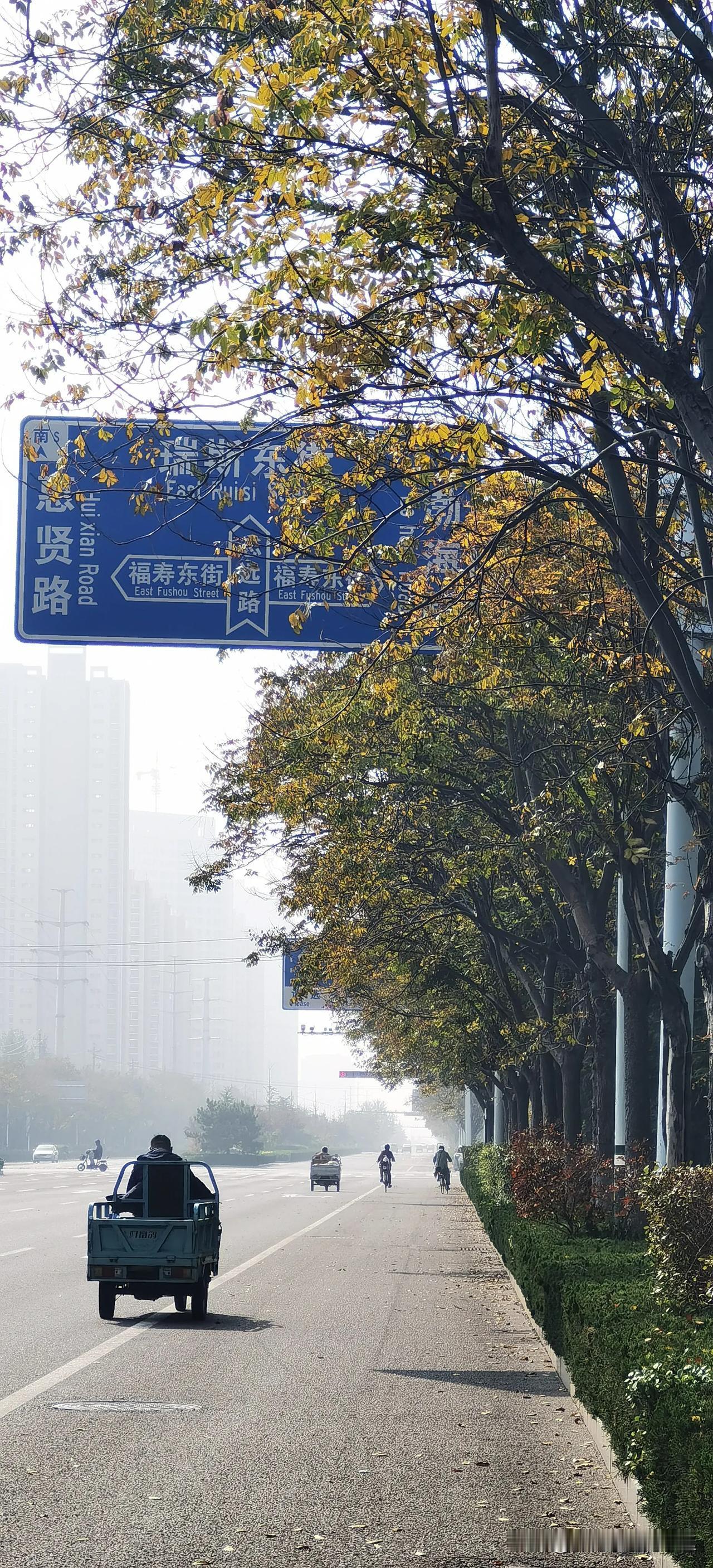 #拍一张秋日景色#
潍坊志远路随拍