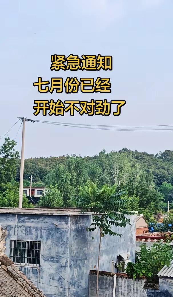 中国女团在世乒赛上1-2落后时，绝境翻盘！!孙颖莎连拿两分稳住局势，王曼昱在决胜
