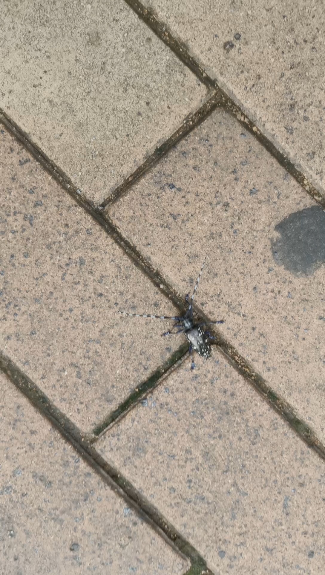 要下大雨啦  好闷热 