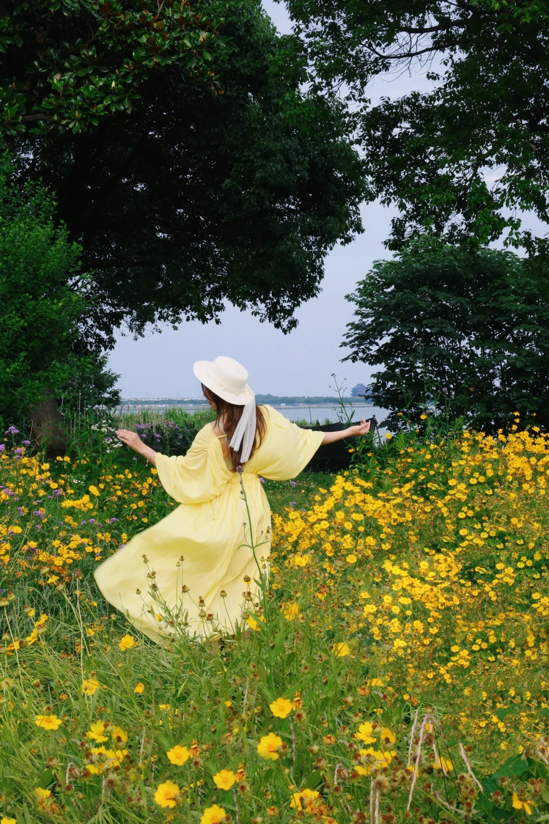 不是云南去不起，来这里更有性价比‼️