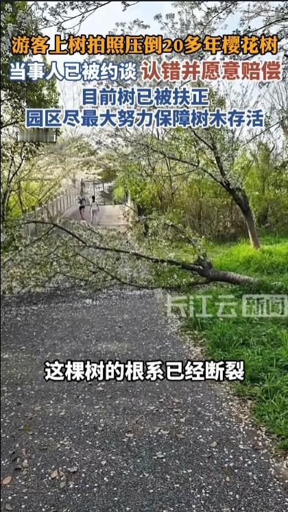 不文明的旅游和拍照行为让人讨厌，而且也涉嫌违反相应的法律法规。为了拍一张照片，女