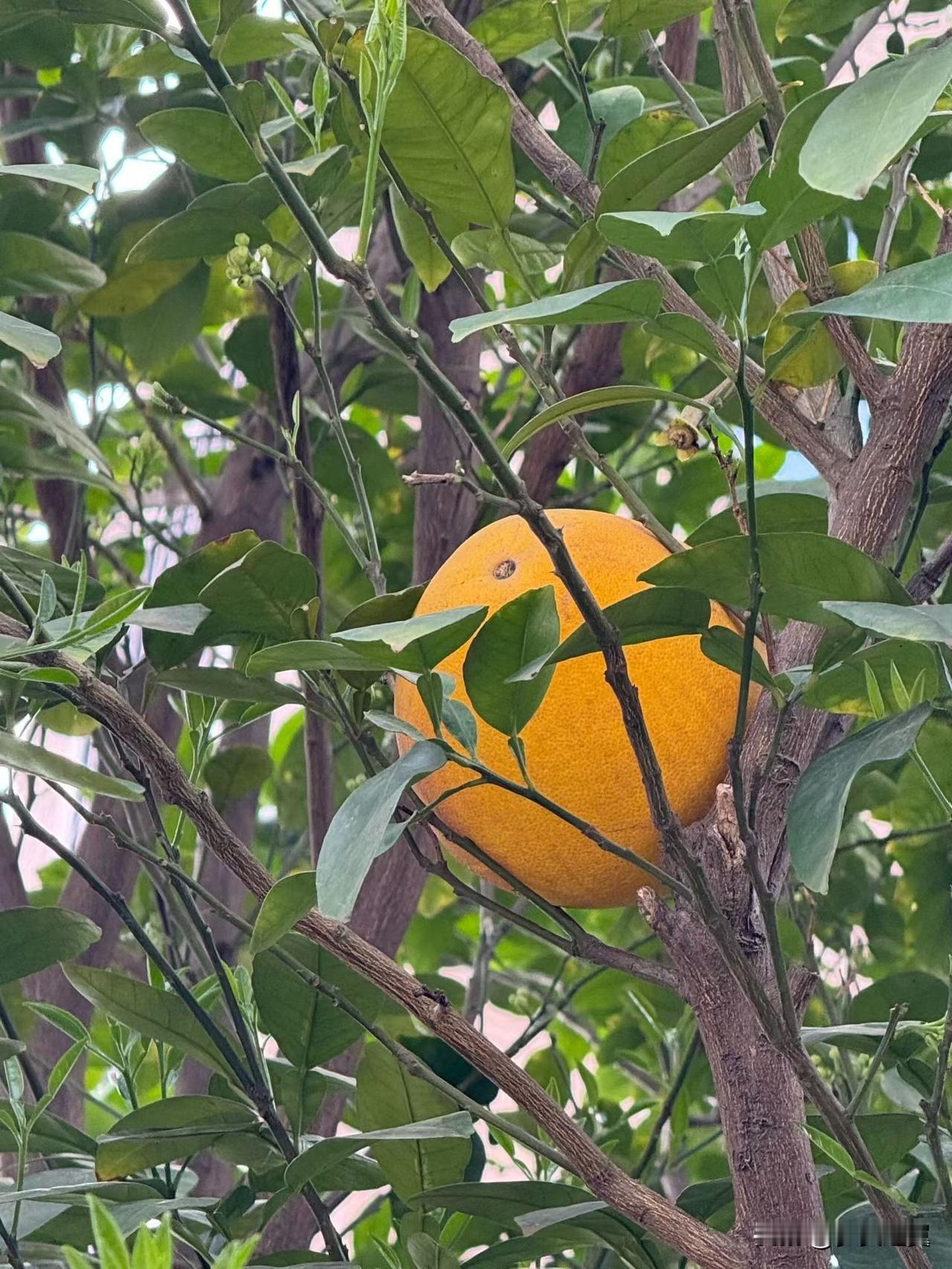 【小对联】
上：捷径；
下：……？