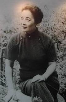 宋美龄如何看待蒋经国？宋：即使我有孩子，也不可能和经国一样
1950年代的台湾。