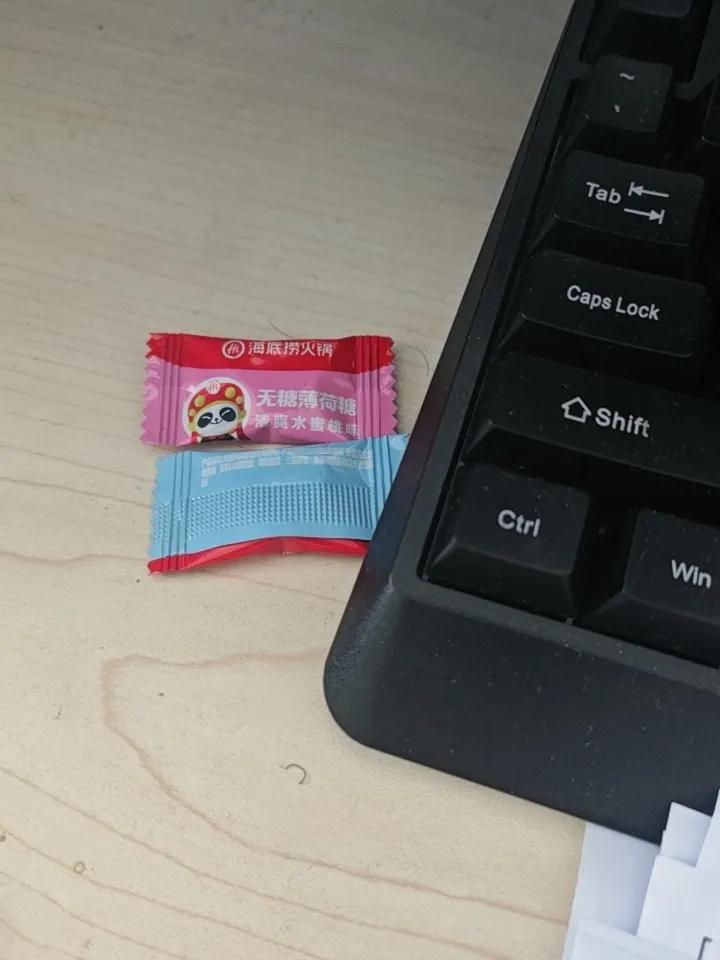 仙人球开花你们见过吗?