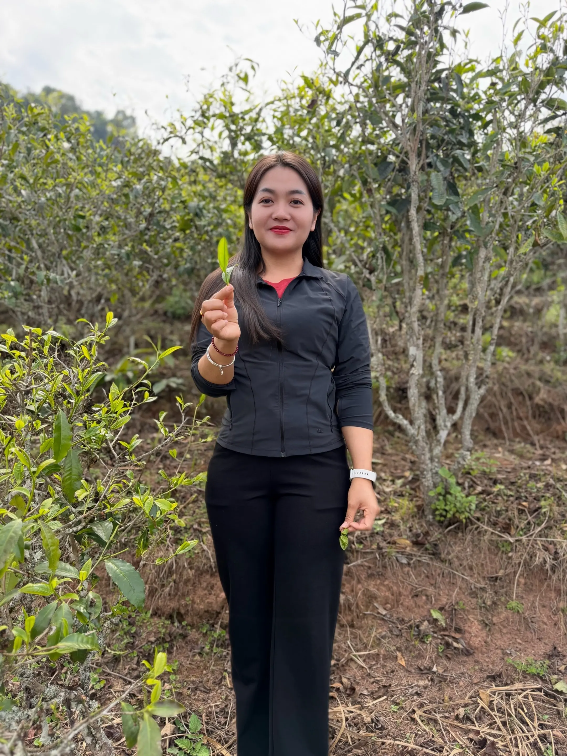 用脚步丈量茶山，用真心做好每片茶。