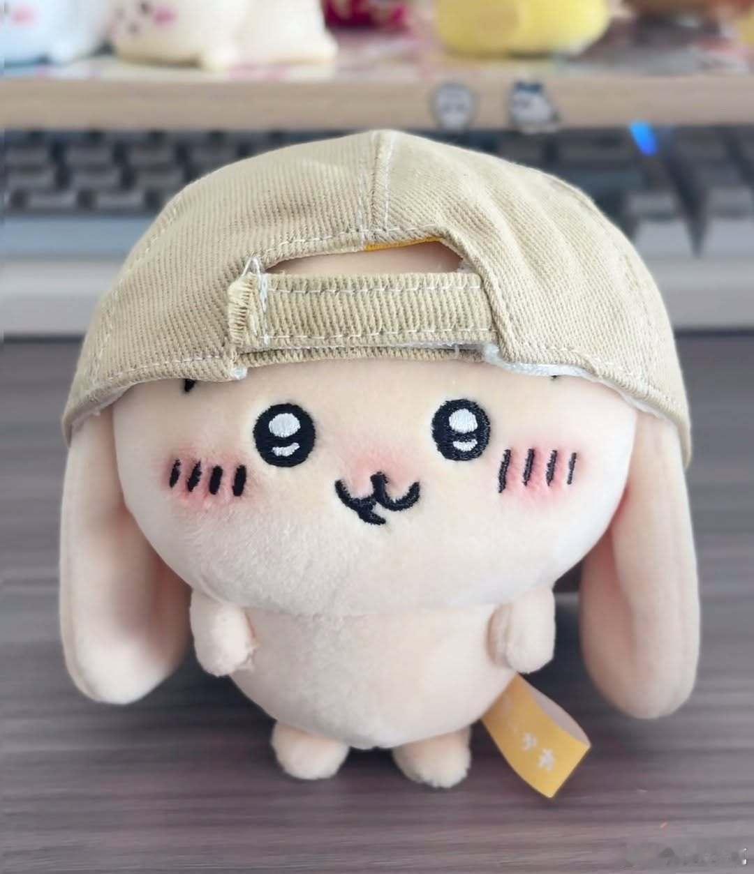 【 戴帽子的乌萨奇 】 