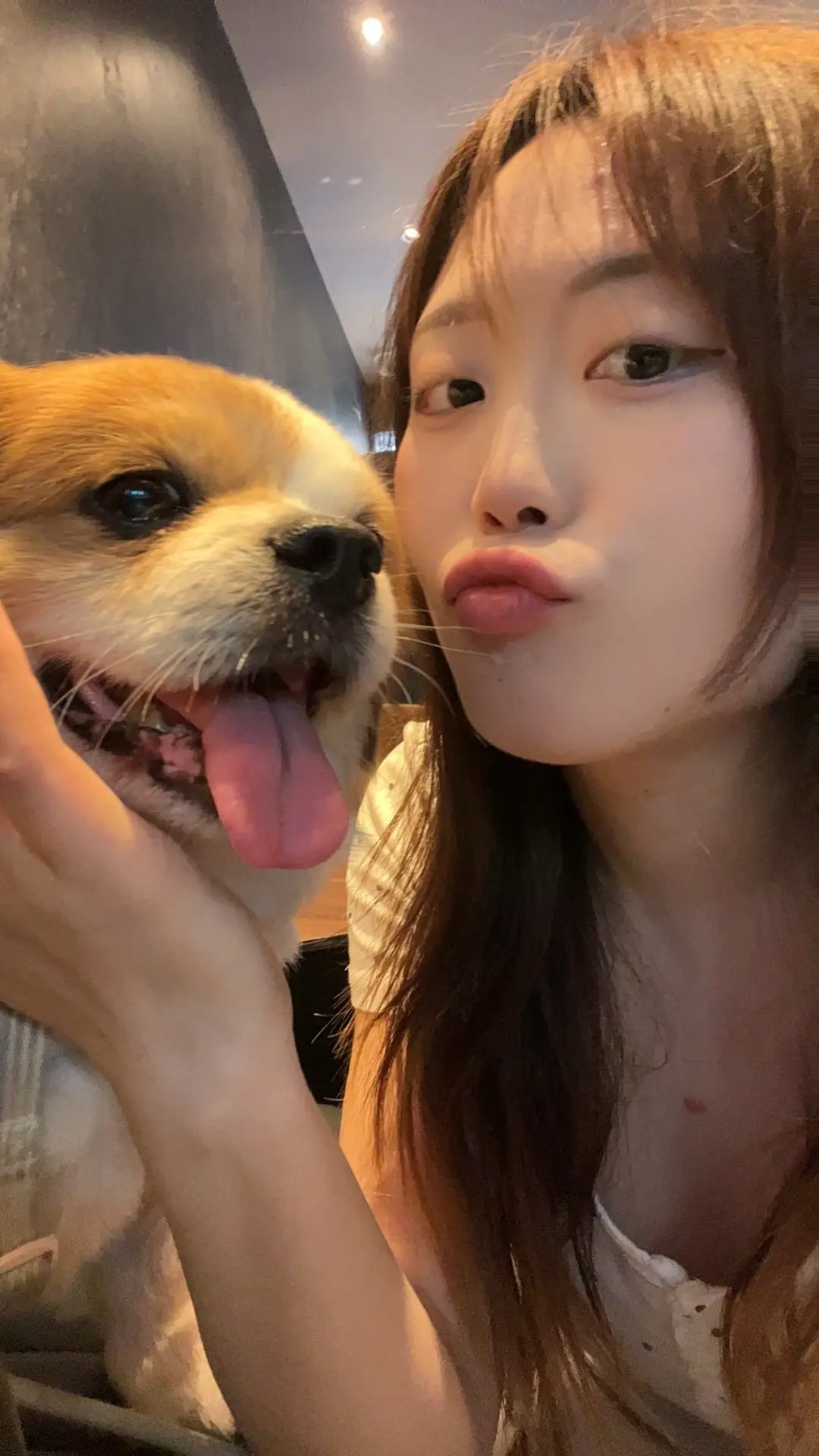我们是天下第一好。