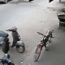 小朋友也没想到自己学得这么快 