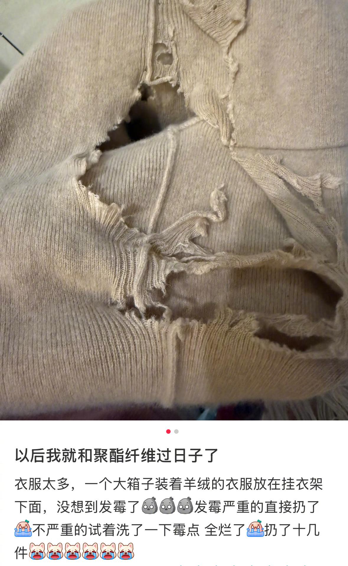 以后还是和聚酯纤维过日子吧 