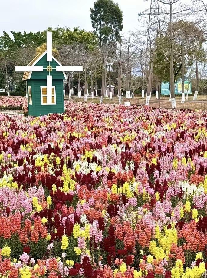 广州香草世界旅游度假区 花都香草世界