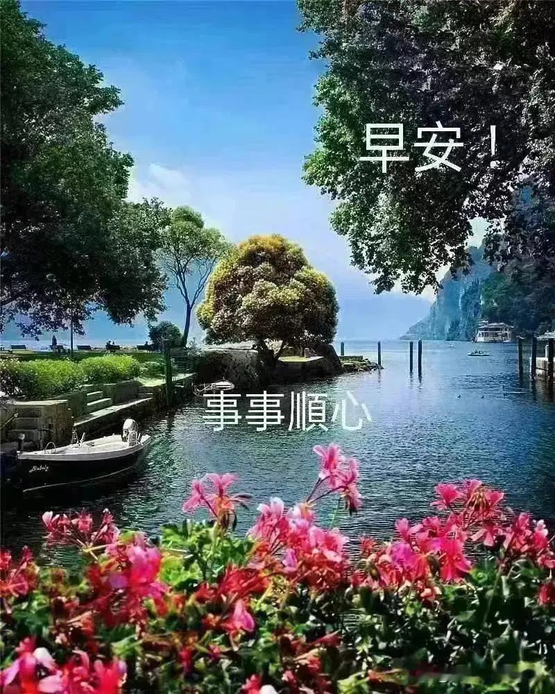 早上好，愿考生们得偿所愿，顺顺利利[福][福][福]