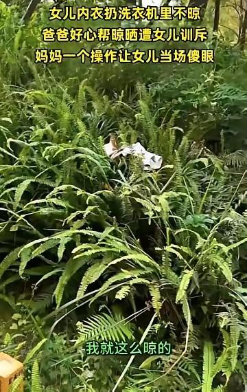 吵起来了！一件贴身衣物，撕开了多少家庭的“理所当然”
 
周末的阳光本该洒满北京