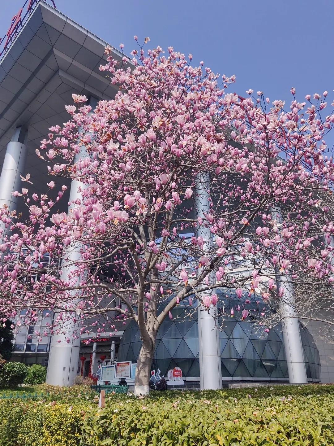 未来五年活下的25条忠告谁读谁受益：

1、努力存钱，30万以下的都叫“余额”