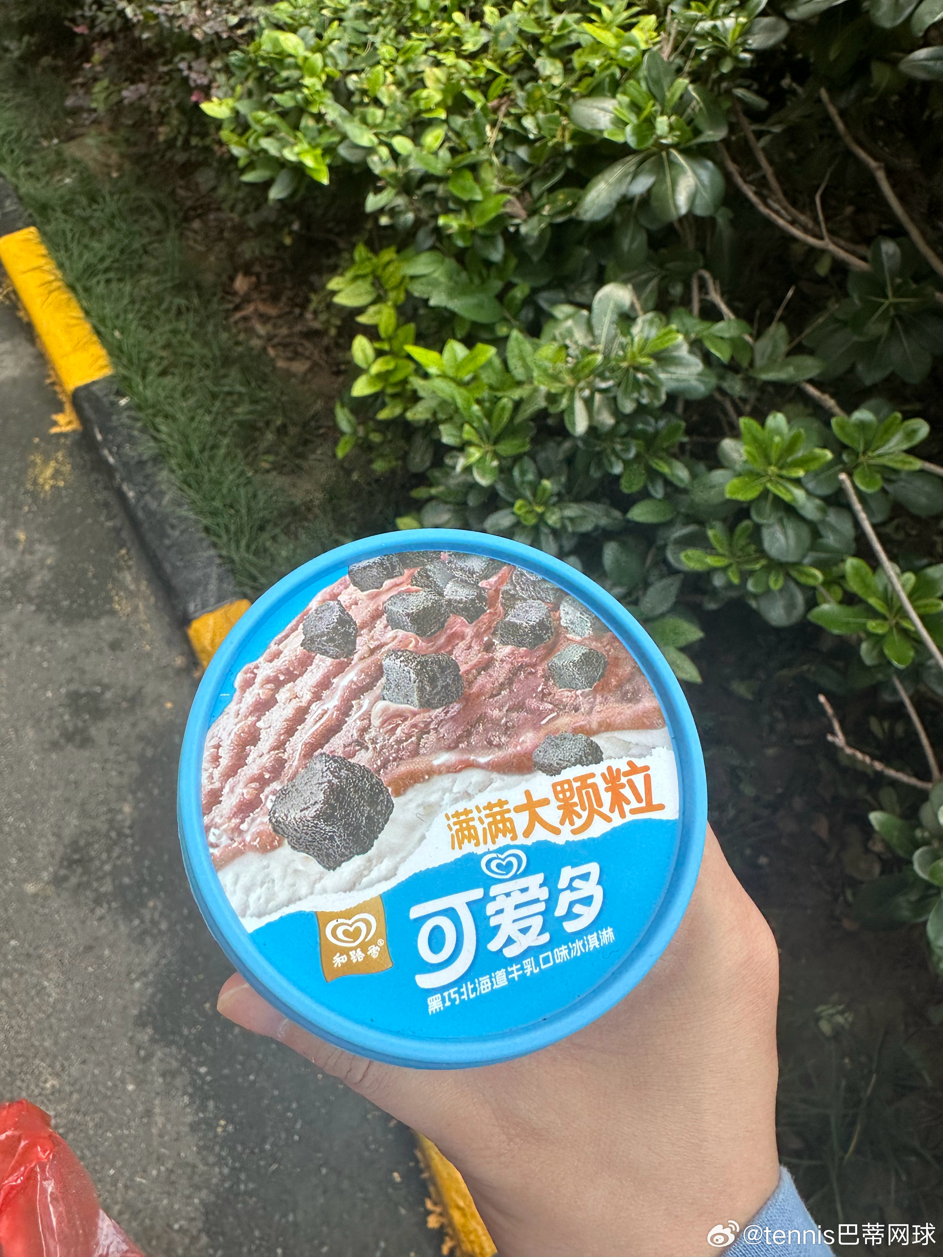 出去买了个暹罗猫靠枕，回来门口买了两个新款冰激凌，充实啊[色] ​​​