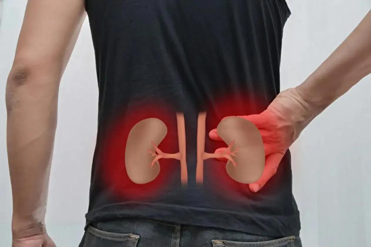 补肾之道：疏肝健脾，精准补肾

在中医理论中，肾被誉为“先天之本”，其重要性不言