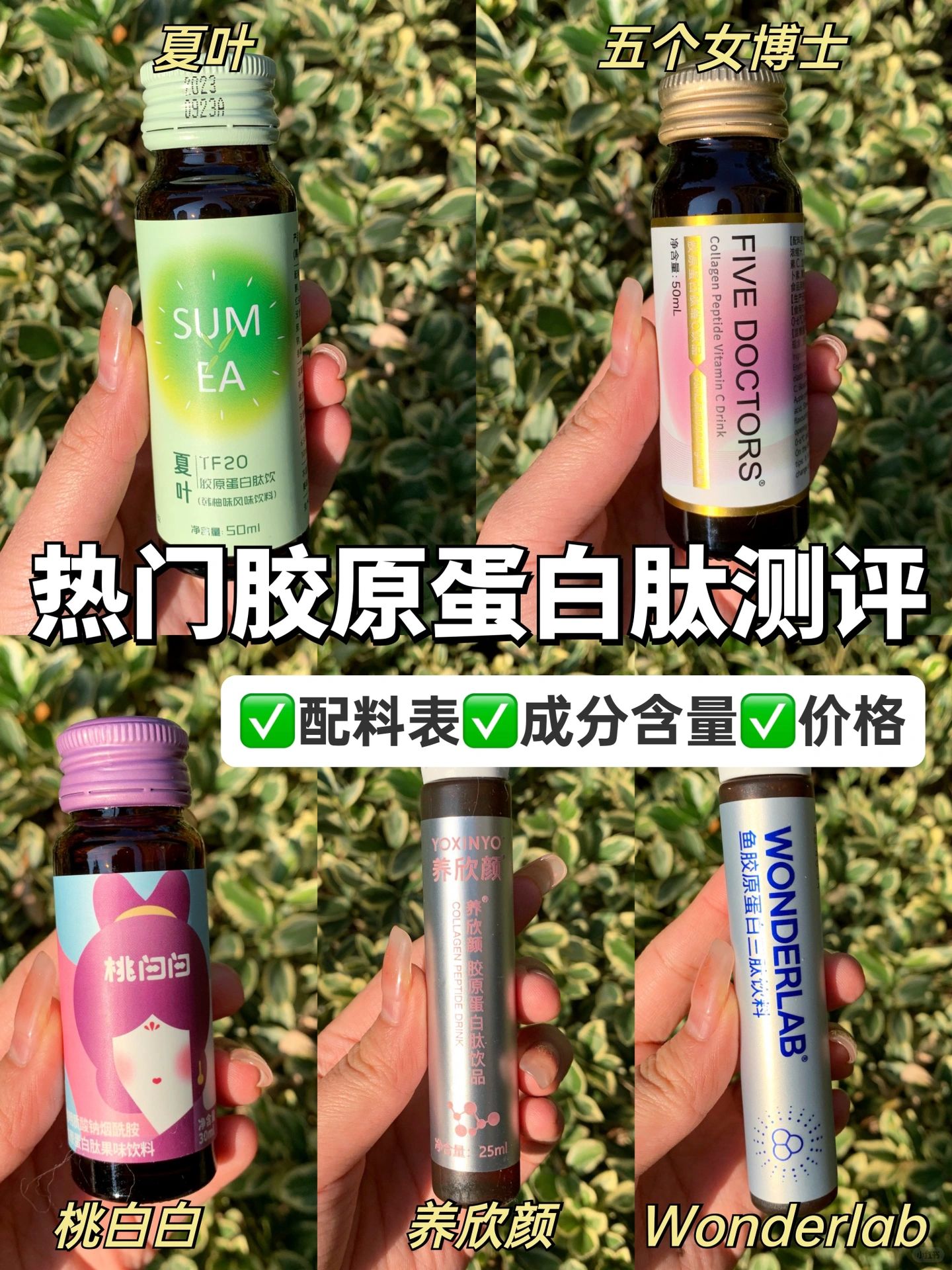 直接抄作业！25➕女生胶原蛋白肽的选择攻略✅