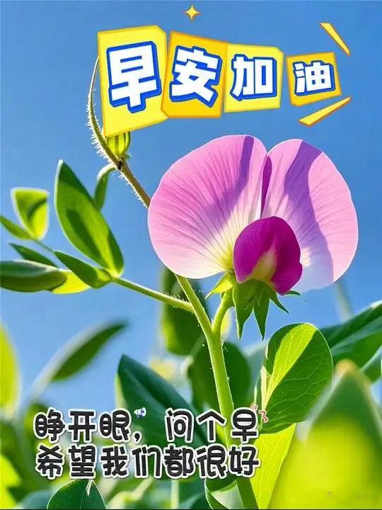 像礁石忍住浪的拍打，我们咽下质疑，等潮水退去，自见嶙峋风骨。各位朋友早安！