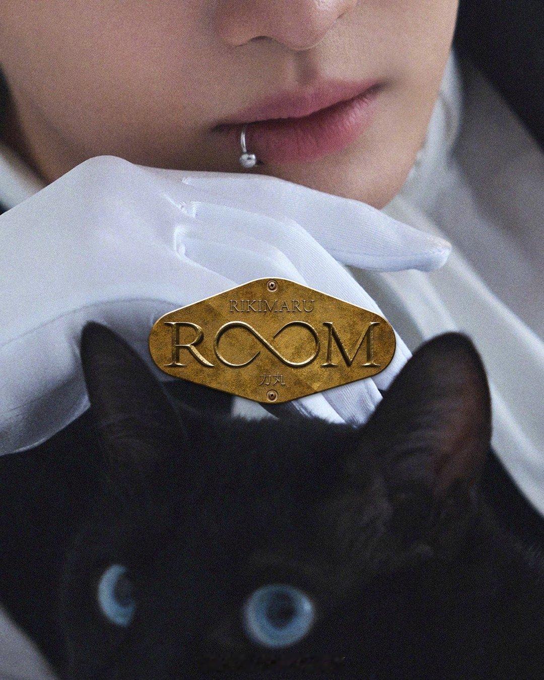 力丸二专ROOM 第二张专辑《ROOM》官宣7月25日即将上线，神秘黑猫伙伴优雅