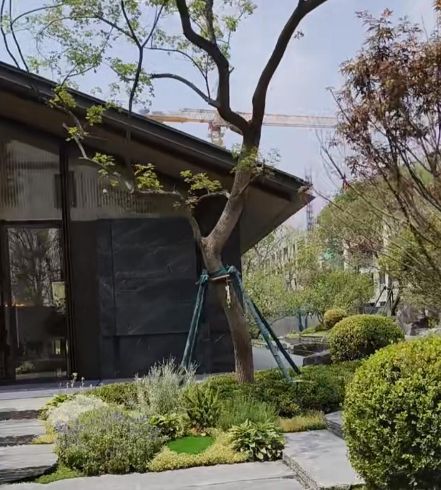 3月14日，小阳春接近过半，北京二手房表现是否亮眼？感兴趣的速看！

三月小阳春