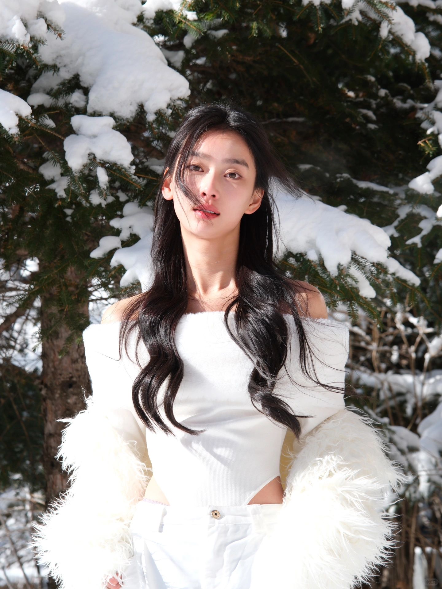 雪后的冬日暖阳❄