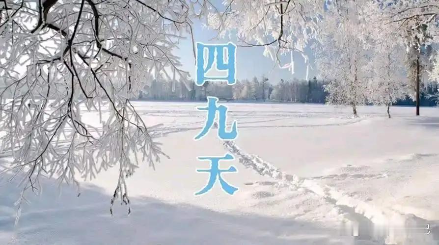 四九天
四九冰风似剑铓，
山川冻锁玉龙僵。
阴风怒号凋百草，
冻雾浓遮掩八荒。