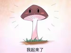 我申请白日提灯热播期延长我们宣传期刚开始