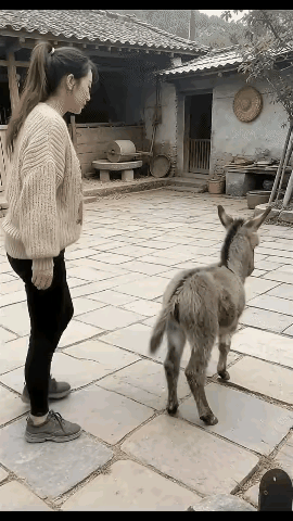 三月十五日过去了，至于晚会上披露出的那些个问题，网络上再吵吵几天，也就烟消云散、