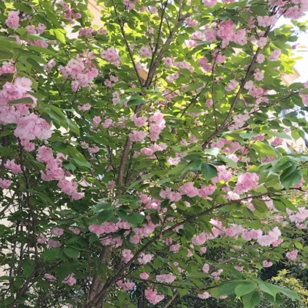 人到中年，哪几种工作穷疯了也不要干？第1种，夜班工作。什么两班倒3班倒的工作，能