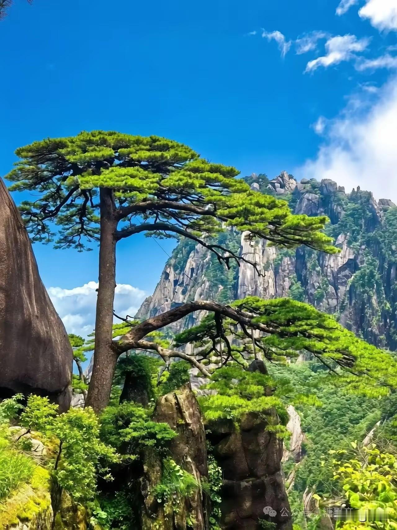 看破不说破，8条处世分寸
 
1. 别人自嘲别附和，切莫顺势补刀。
2. 不打探