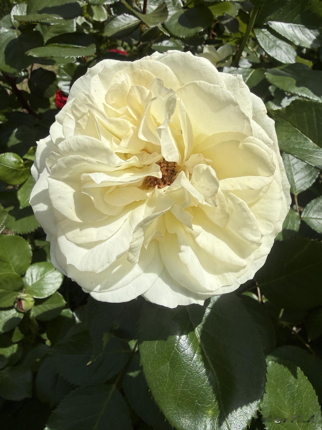 【小对联】
上：排水量；
下：……？