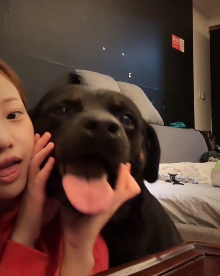 别看它现在这么萌 别人动你一下它真上