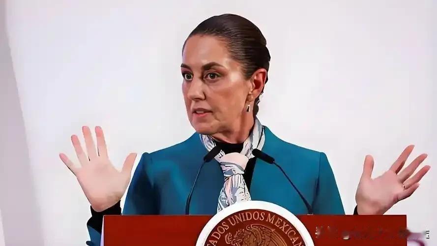 墨西哥硬刚美国！辛鲍姆签协议拒绝美军介入，白宫急了：这是政治博弈还是暗战？
 