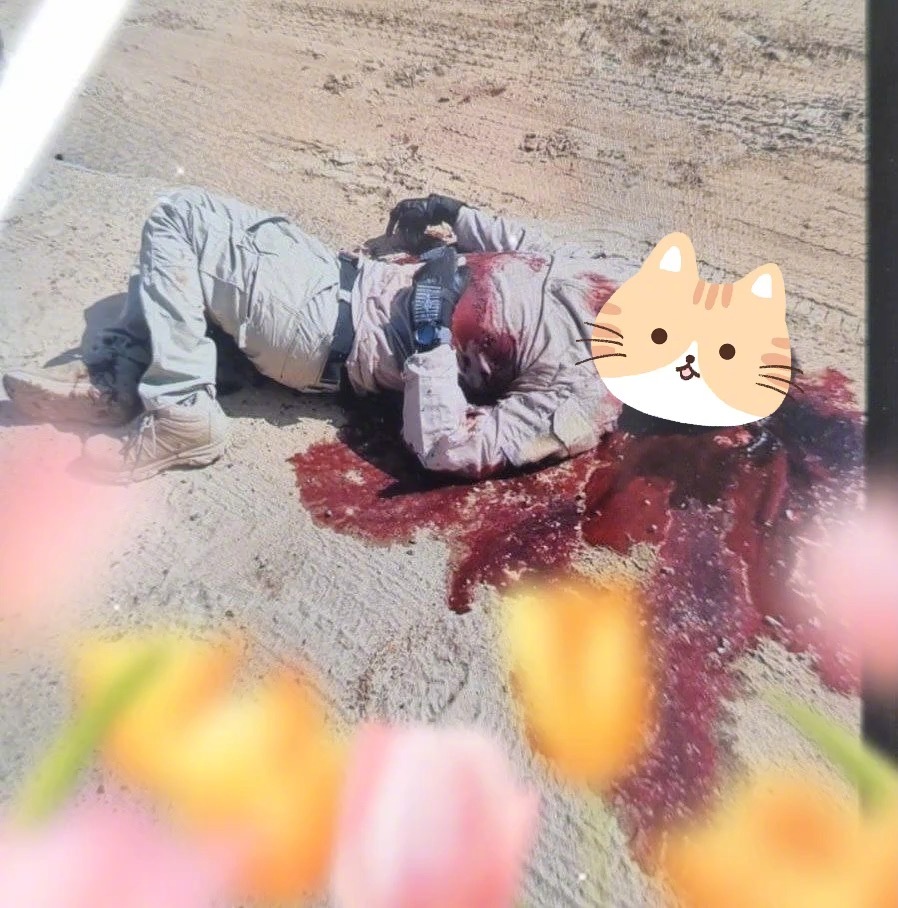#兵器影像[超话]##巴以冲突# 约旦官员否认，今天上午从约旦领土进入以色列南部